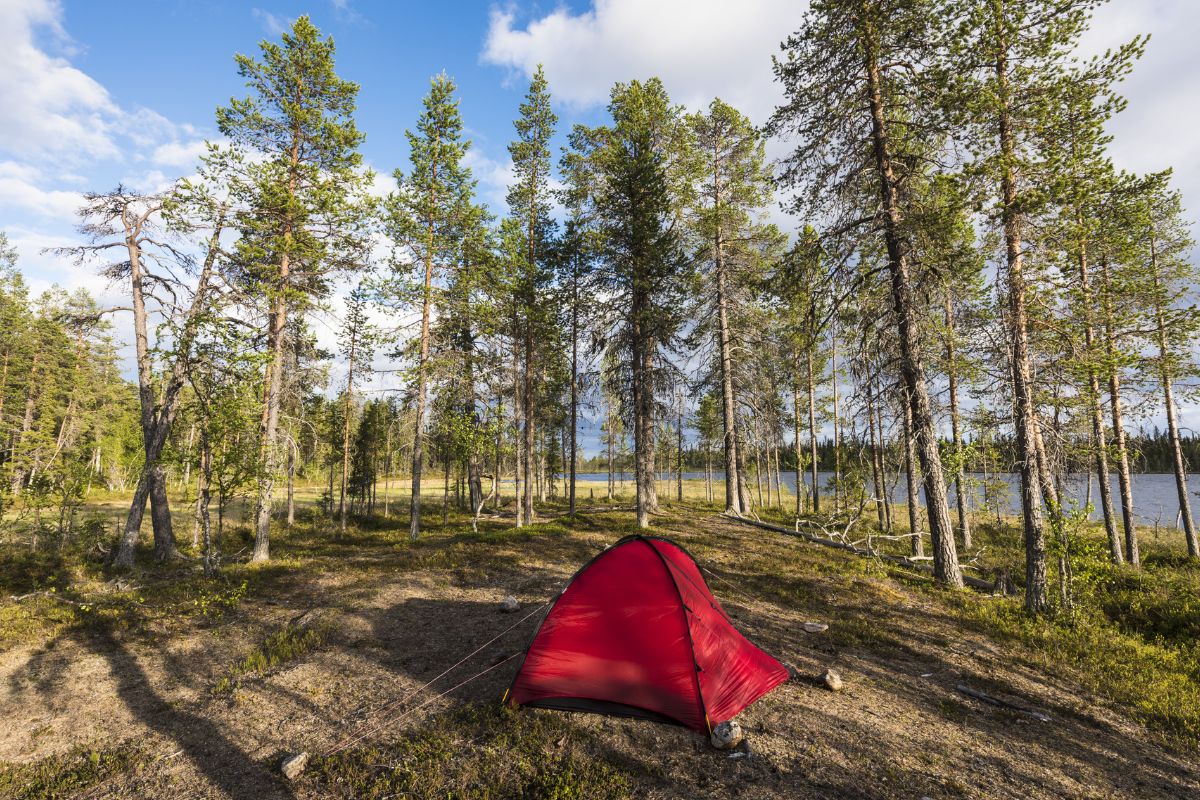 Wildkamperen in de tent