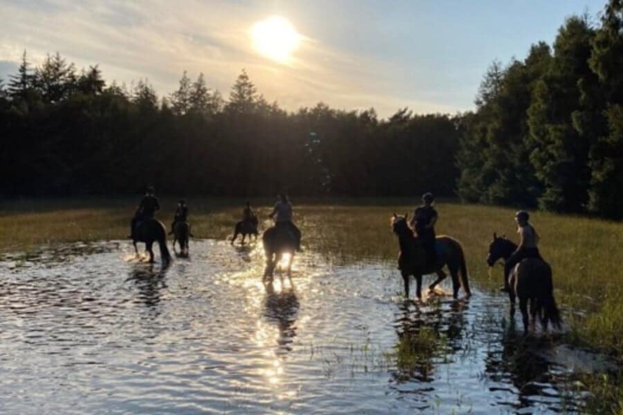 ruiters te paard wandelen door een meer