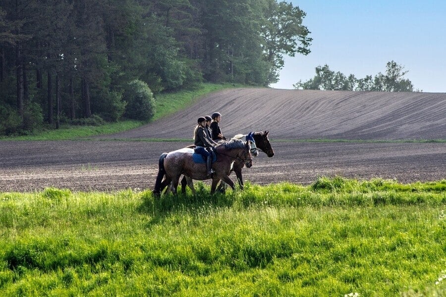 drie ruiters te paard lopend langs een akker