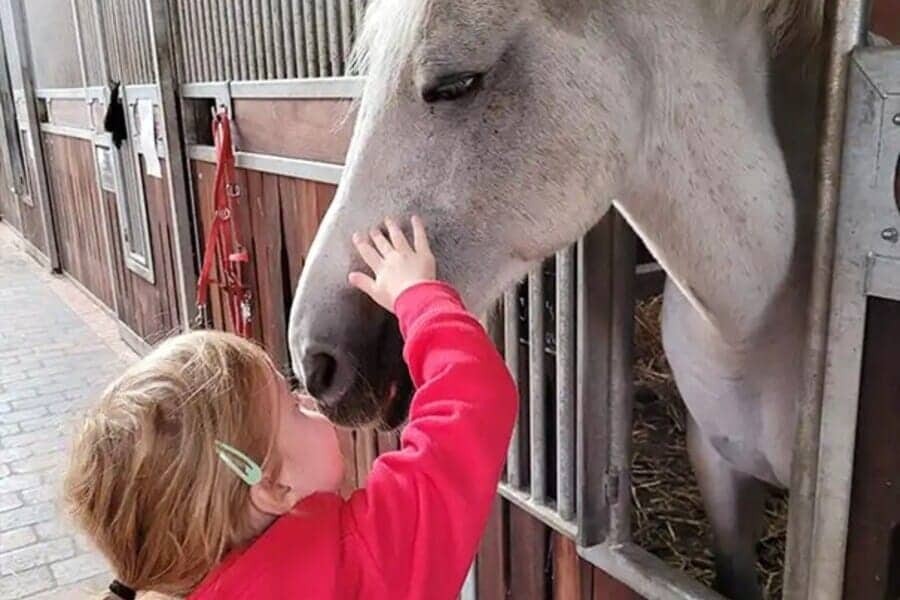 klein meisje aait een paard