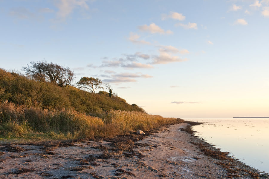 een strand en duinen