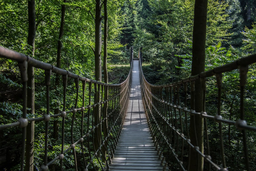 Die Wildline-Hängebrücke ist 380 Meter lang und 60 Meter hoch.