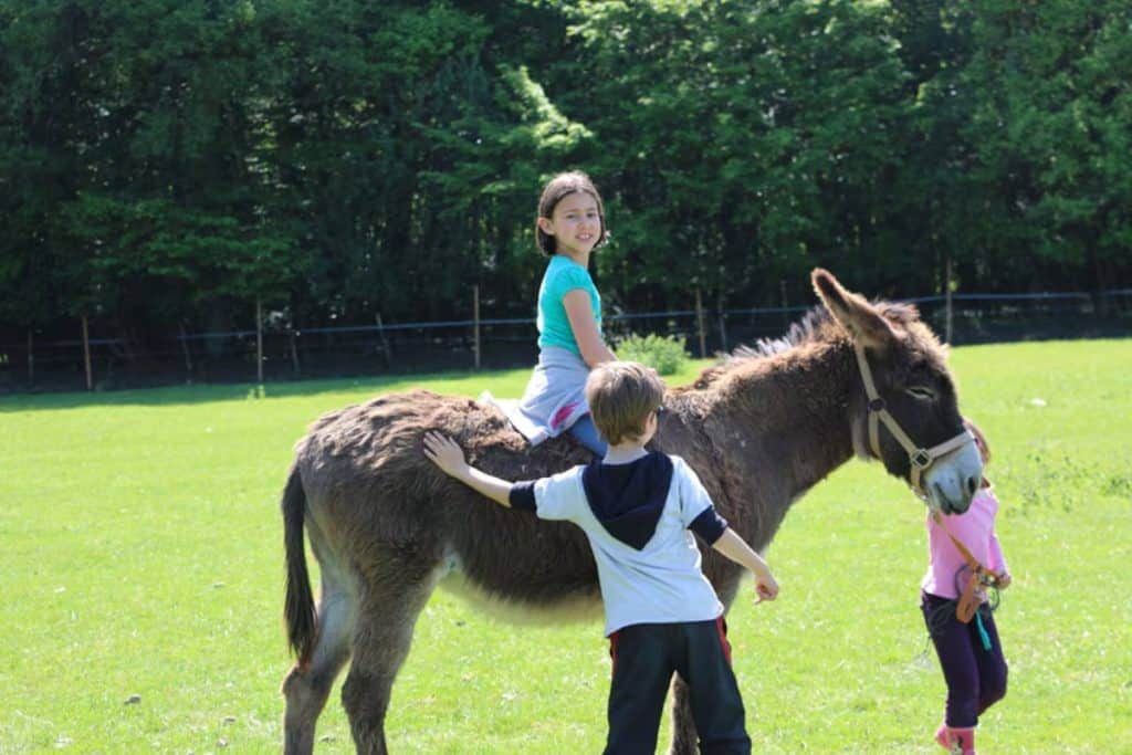 Camping-Ferme de Prunay glampen bij de boeren kinderen ezelrijden