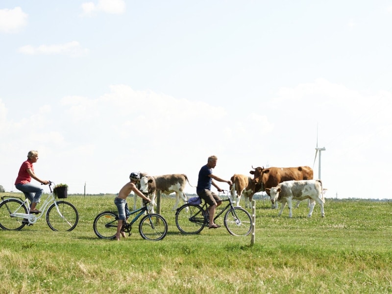 Fietsen in het Nationaal Park Thy