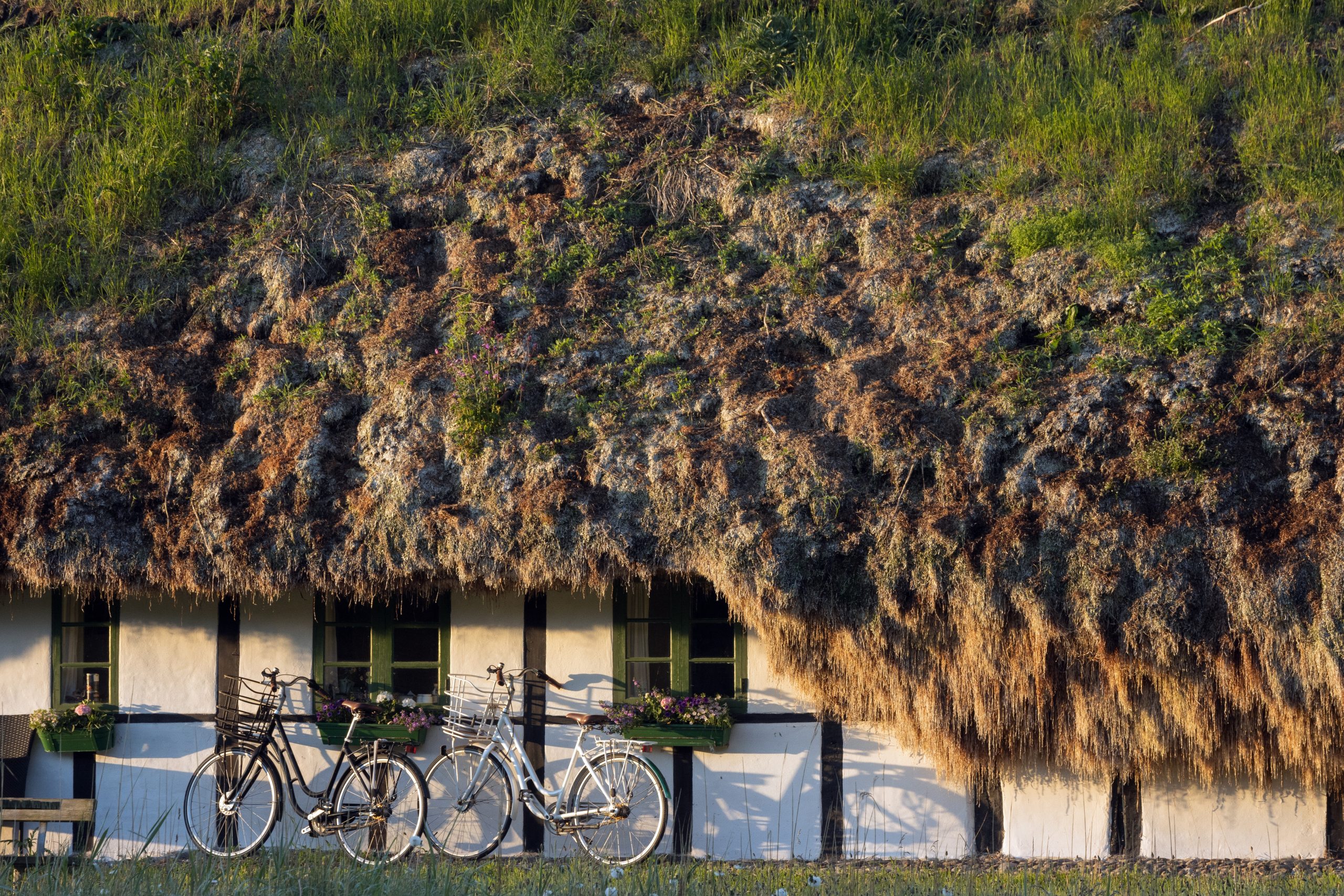 Een huis op het eiland Læsø met het beroemde zeewierdak