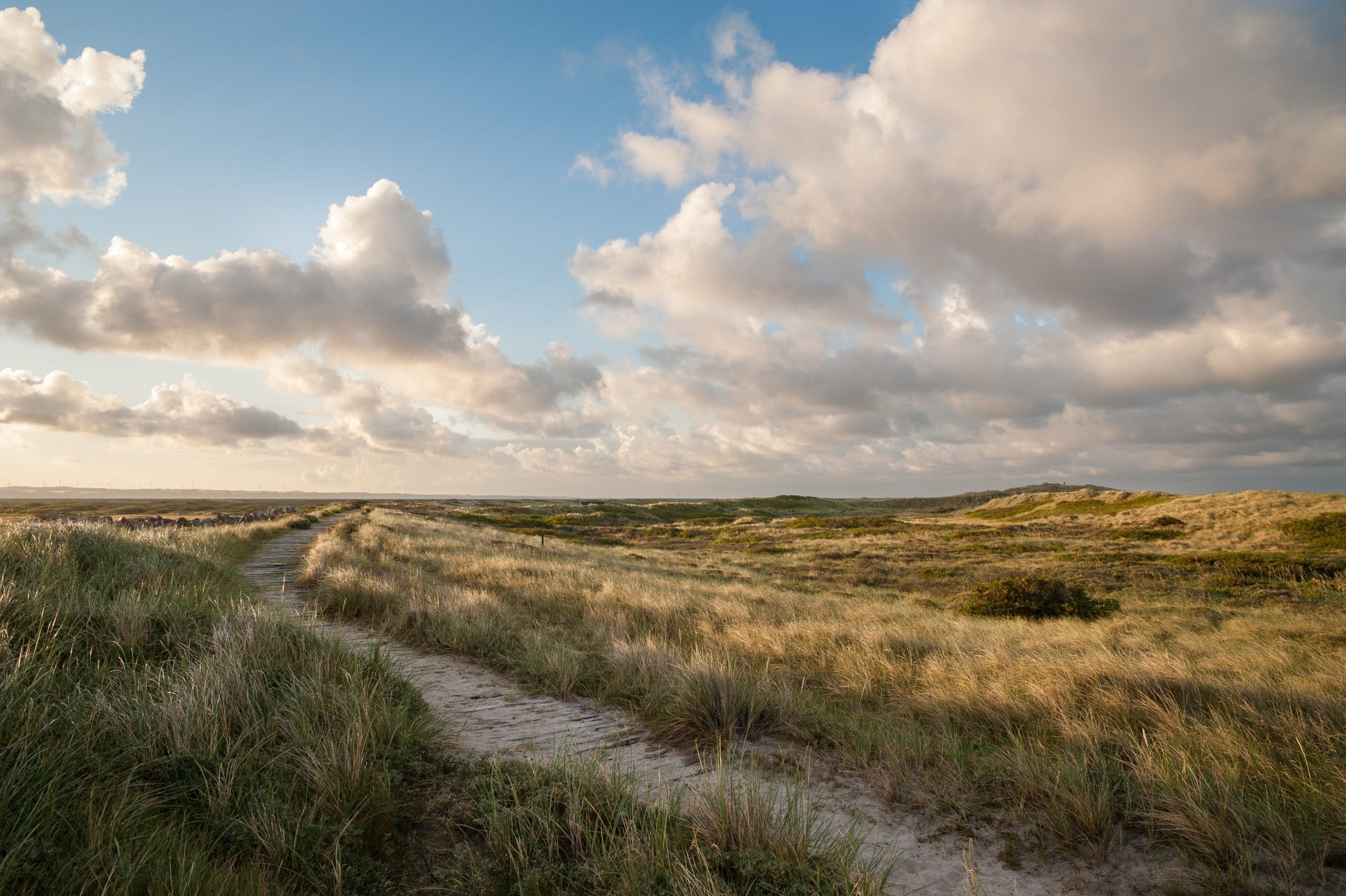 Ontdek de uitgestrekte natuur van National Park Thy.